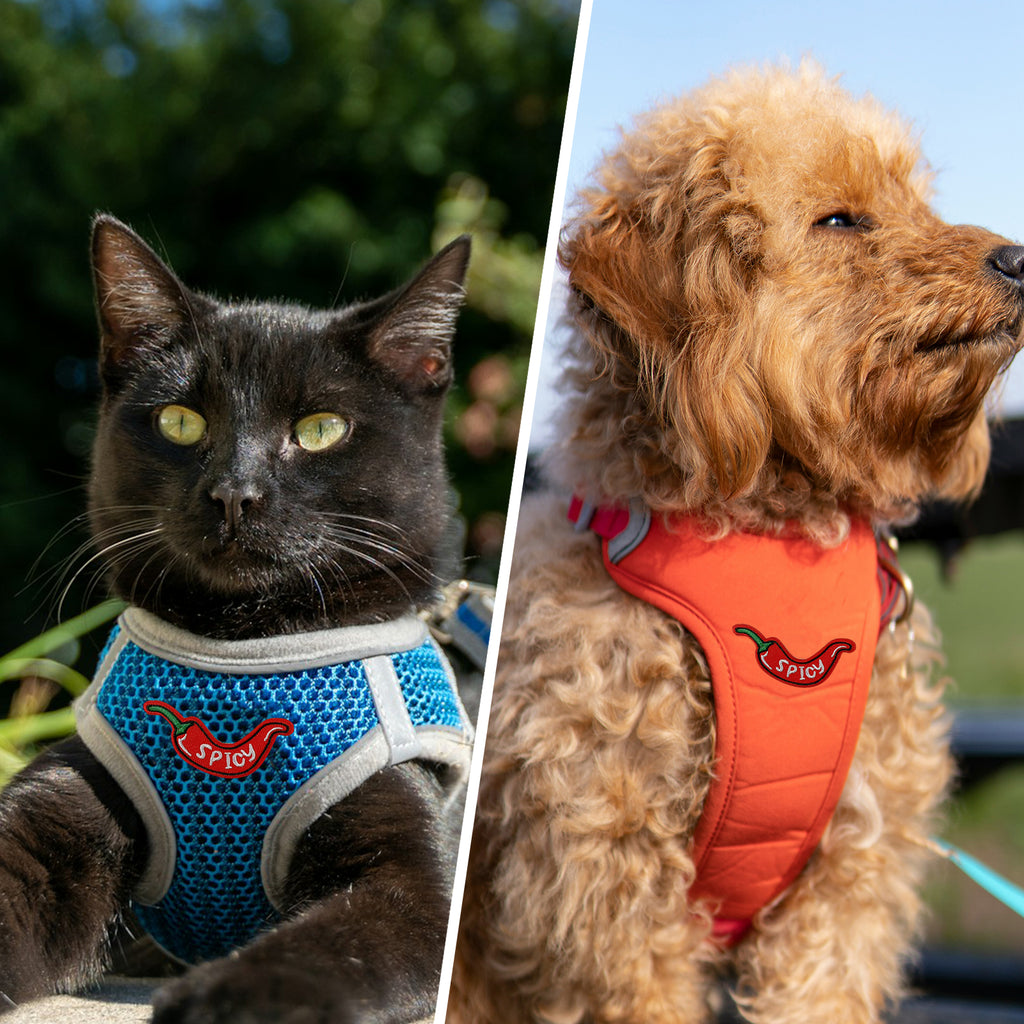 Red Hot Spicy Pepper Chili Patch (Velcro)