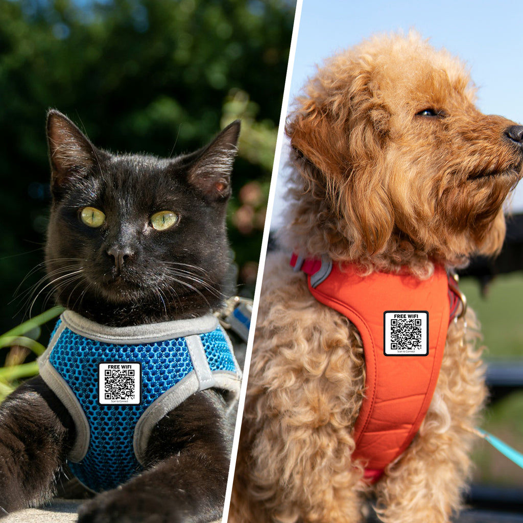 Rickroll QR Code Patch (Velcro)