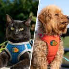 That's My Ass Bro Funny Fishing Meme Joke Patch (Velcro)