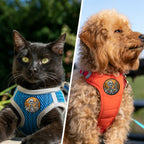 Never Better Skeleton Optimistic Self-Motivation Funny Meme Patch (Velcro)