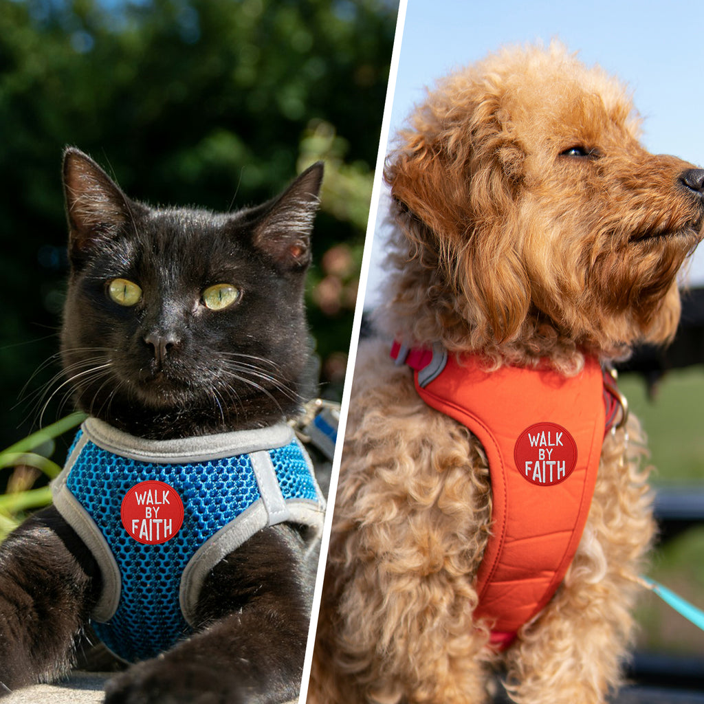 Walk By Faith Biblical Scripture Christian Patch (Velcro)